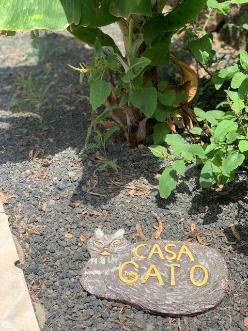 Apartamento Casa Gato Corralejo Exterior foto